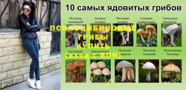 прущая мука Богородицк